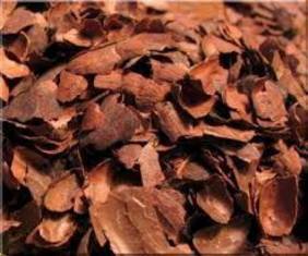 Bark Chips Wellington | Ablaze